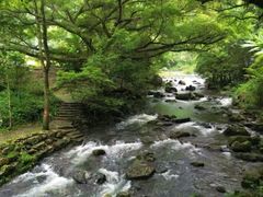 -广州市石门国家森林公园