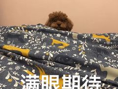 -麦德龙(郑东店)