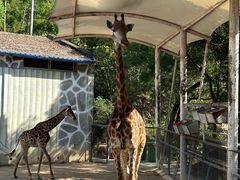 -泉州海丝野生动物世界