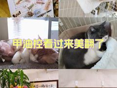 -北京城乡世纪广场-莫尔空间