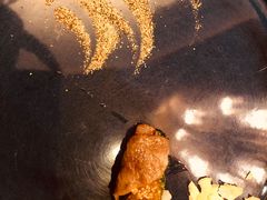 -丹鼎铁板料理