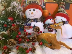 -Famous肥猫墨西哥音乐餐吧(五棵松华熙LIVE店)