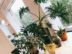 -CAFE'IN精品咖啡体验空间(小寨店)
