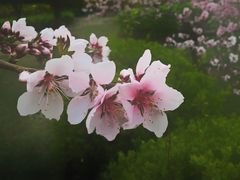 -迎泽公园