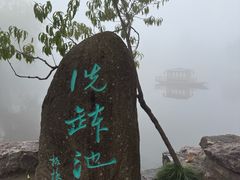 -水绘园