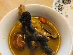 -蘑统田下·野生菌火锅