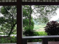 -南宁良凤江国家森林公园