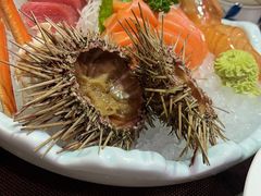 刺身拼盘-福樱兰海鲜放题铁板烧(加州店)