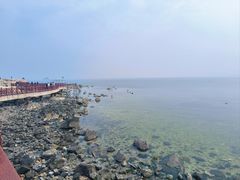 -养马岛旅游度假区