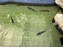 -长春农业博览园