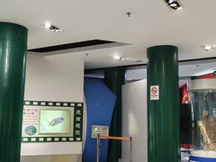 -上海昆虫博物馆