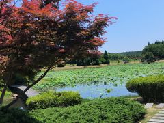 -宜兴龙背山森林公园