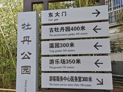 -洛阳市牡丹公园