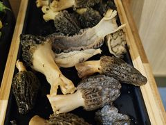 -一朵菌·野生菌探索家火锅(南亚店)