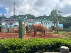 -昆明动物园