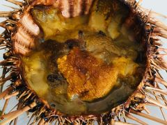 -海胆小馆(东北水饺·春柳店)