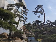 -罗红摄影艺术馆