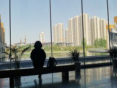 -隋唐大运河文化博物馆