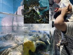 -福州罗源湾海洋世界旅游区