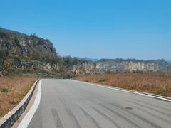 -南山植物园