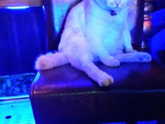 -星宿秘码(鼓浪屿老店)