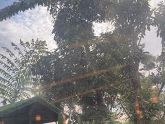 -茅草房·河畔园林火锅