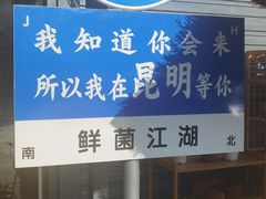 -鲜菌江湖正宗野生菌火锅