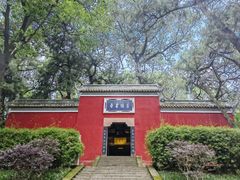 -子昂故里文化旅游区