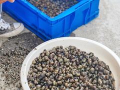 -乡乐园蟹庄·阳澄湖农家乐