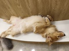 -和它·交个朋友·狗咖猫咖(爱琴海店)