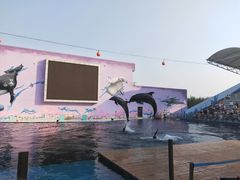 -北戴河圣蓝海洋公园