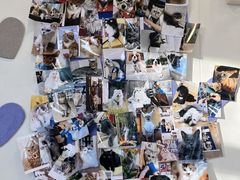 -芭比堂动物医院·CT·微创中心(新顺分院)