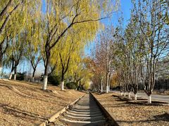 -永定河休闲森林公园