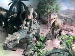 -国家自然博物馆