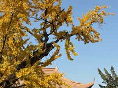 -苏州文庙(姑苏区)