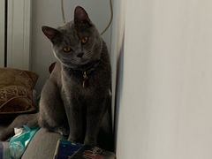 -老诚一锅羊蝎子(垡头店)