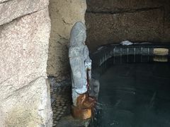-洪湖悦兮半岛国际温泉度假村