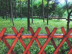 -徐家汇源景区-衡山公园