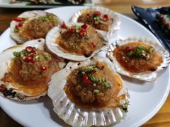 炭烤扇贝-兆辉木炭海鲜烧烤·海鲜小炒