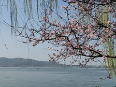 -西湖天地