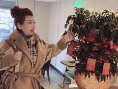 -顺峰(农展馆店)