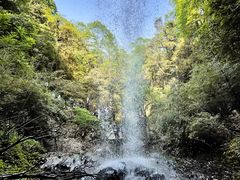 -龙苍沟森林公园