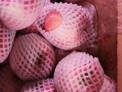 -菜园坝水果市场