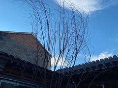 -VOYAGE COFFEE(杨梅竹店)