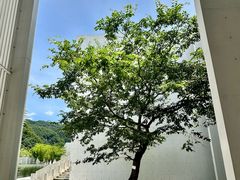 -中国宣纸文化园