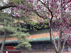 -潭柘寺景区
