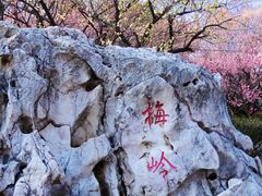-南京古林公园