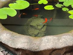 -31号公馆(黄兴广场白果园店)