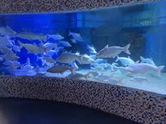 -成都浩海立方海洋公园