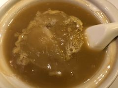 松叶蟹酱冬蓉烩鱼翅-新同乐鱼翅酒家(美丽华店)